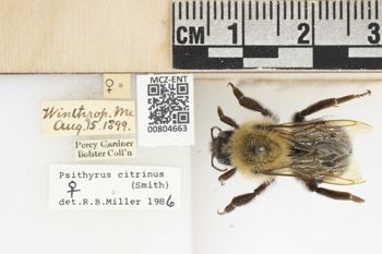 Media type: image;   Entomology 804663 Aspect: labels